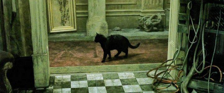 6 феноменов, которые наука не может объяснить