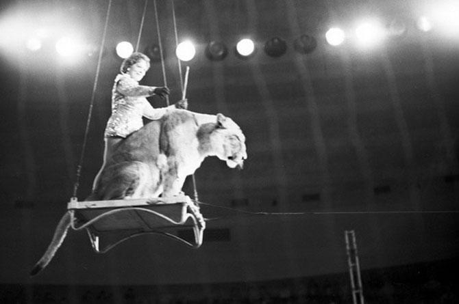 Первая советская дрессировщица: 40 лет наедине со львами