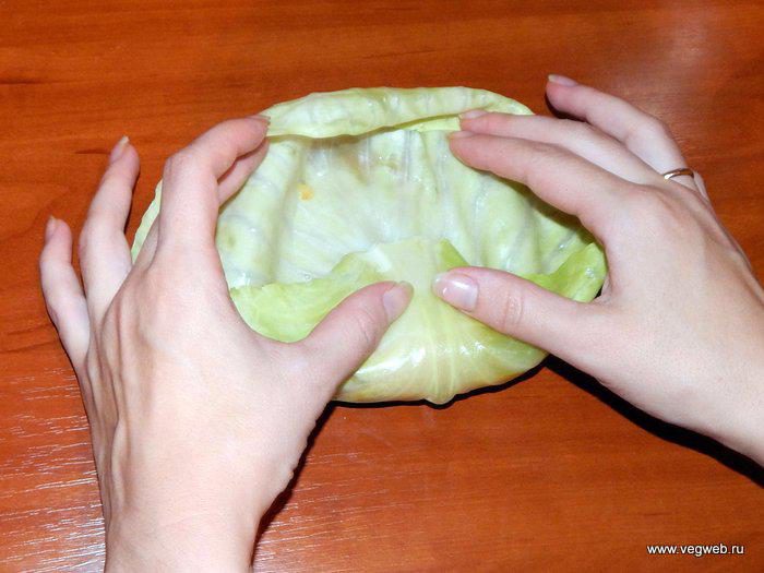 покрашенная капуста. листик из папье маше. лист бумаги капустный лист. капустный лист из теста. капустный лист.