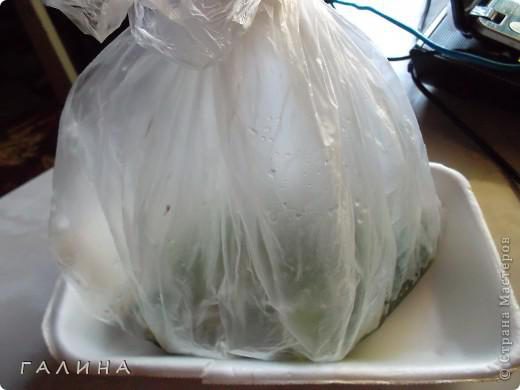 original.jpg#20271950924