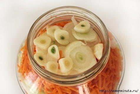 hjYqdAeVLXU (475x317, 72Kb)