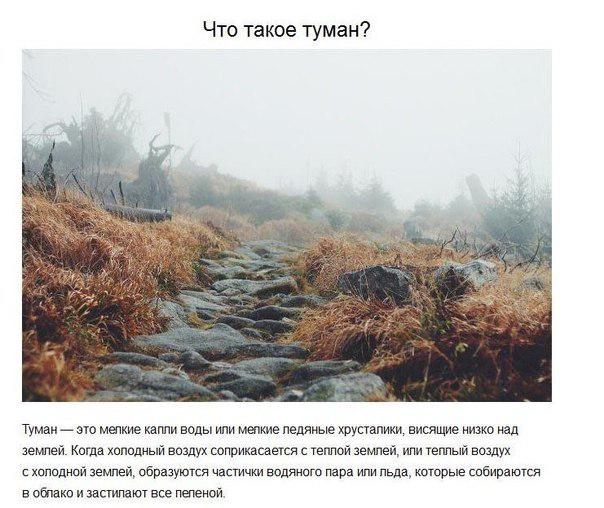 Ответы на детские вопросы, от которых «взрывается» мозг!