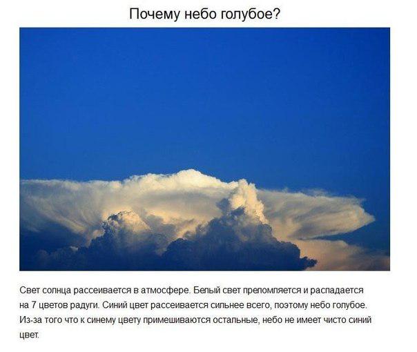 Ответы на детские вопросы, от которых «взрывается» мозг!