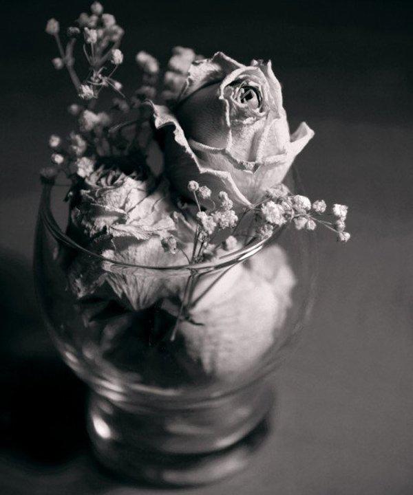 силикагель