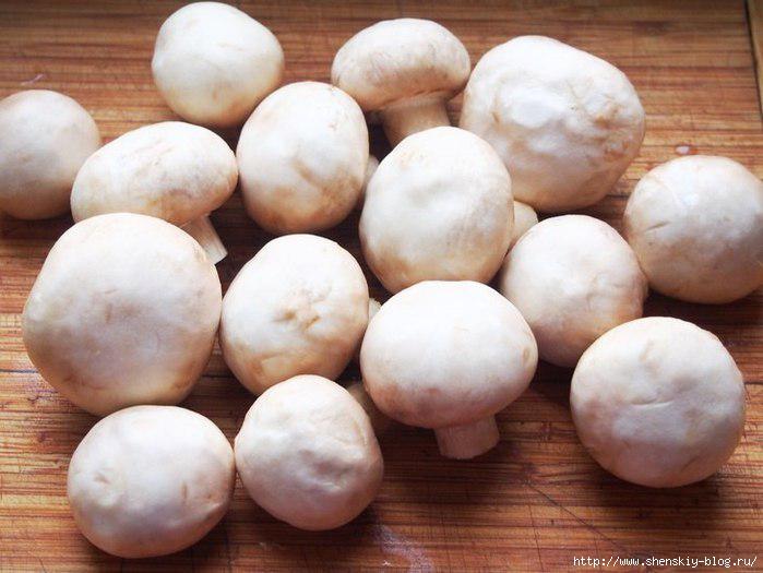 4121583_uCd3zqcrpsM (700x525, 156Kb)