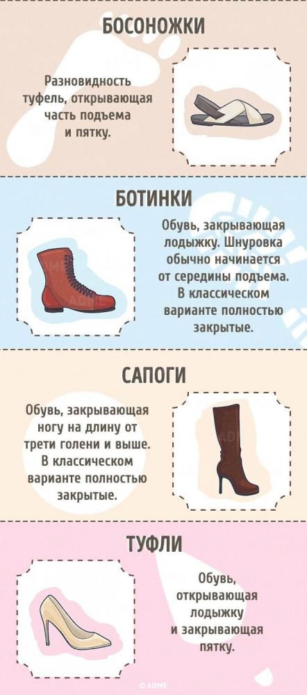 Гид по женской обуви