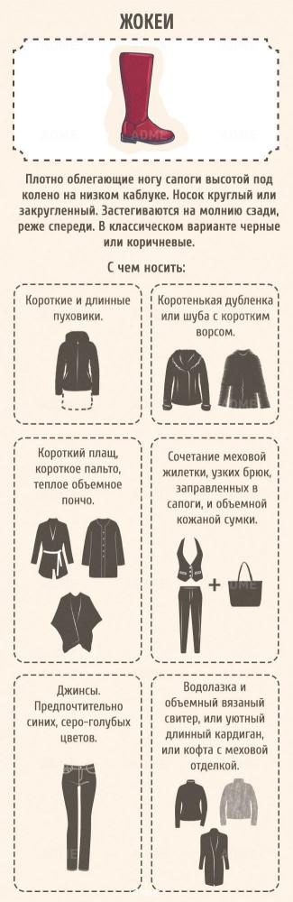 Гид по женской обуви