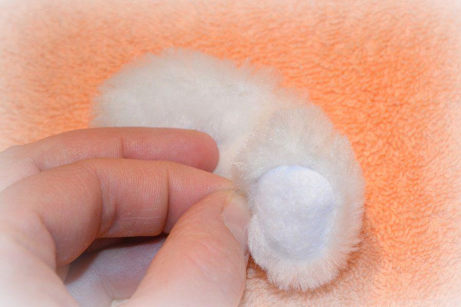 символ 2017 года