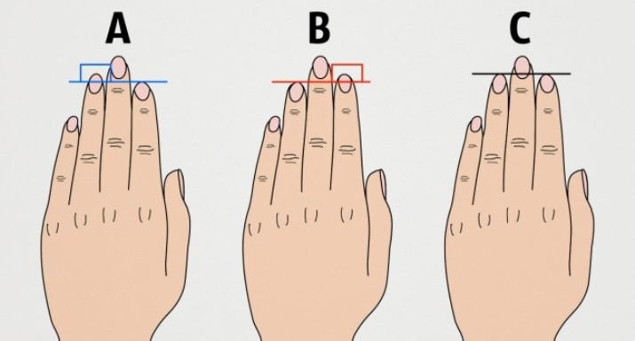 Что скажут о вашем характере пальцы рук? (тест)