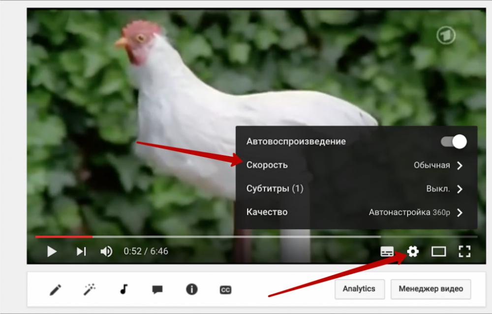 Полезные фишки youtube