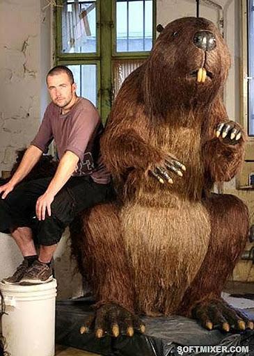 33a9aab9715c6c0b60562e66ade