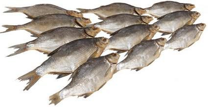 Картинки по запросу Высушенная рыбья чешуя &mdash; защита от опасностей