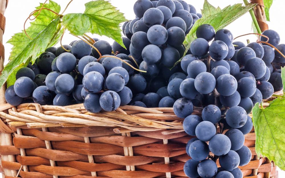 4 причины неурожая винограда
