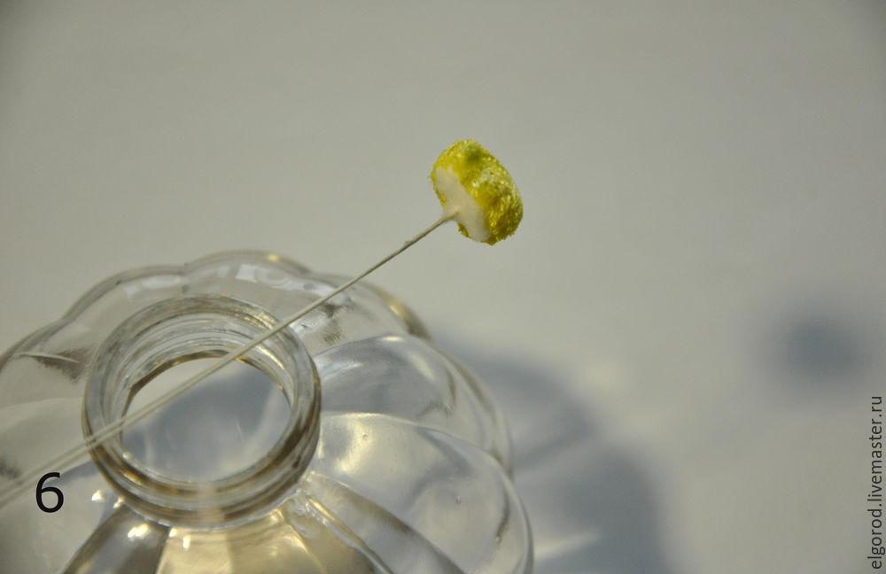 флористика