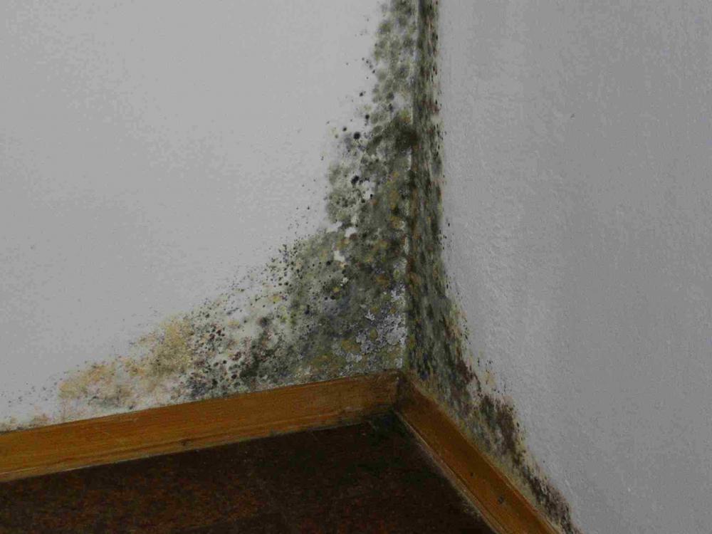 40 способов необычного использования WD-40