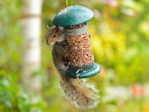 40 способов необычного использования WD-40