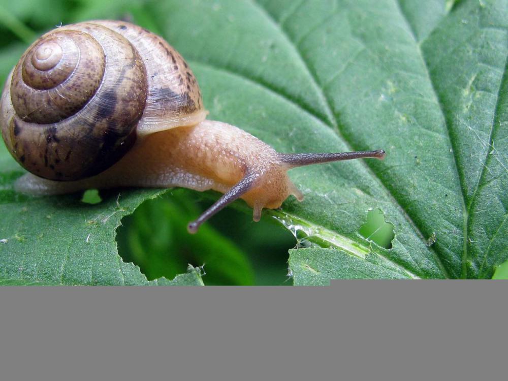 40 способов необычного использования WD-40