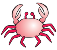 Талисманы для каждого знака Зодиака