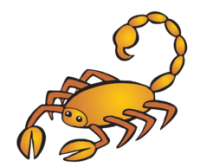 Талисманы для каждого знака Зодиака