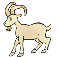 Талисманы для каждого знака Зодиака