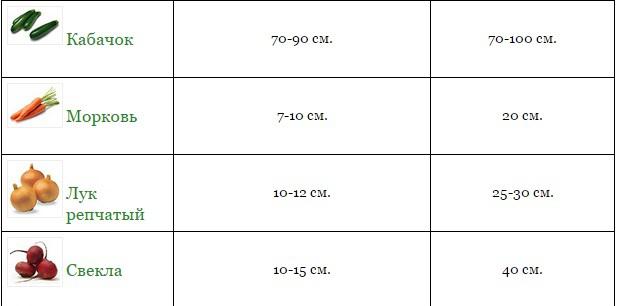 original.jpg#20303319536