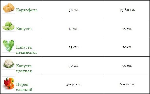 original.jpg#20626445348