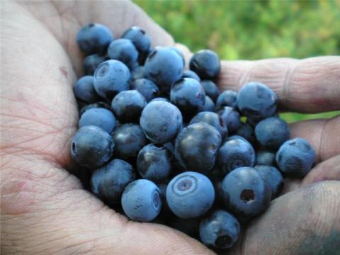 big.jpeg#20063102170