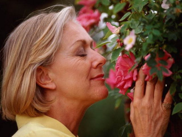 Я.ру закрыт