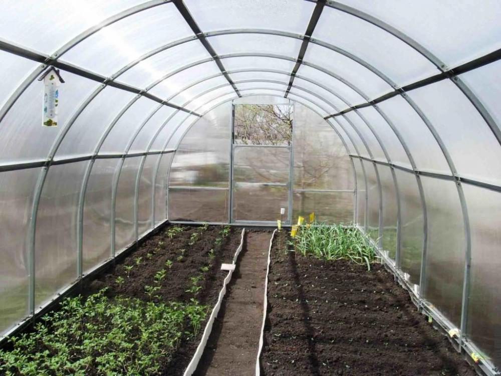 Советы по выращиванию овощей в теплице - апрель-май