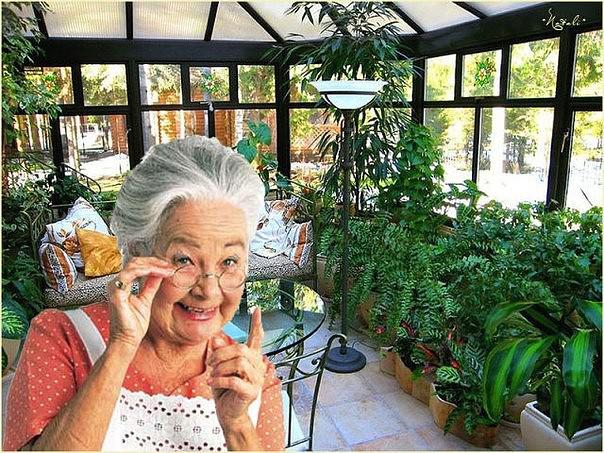 Бабушкины советы по домашнему цветоводству