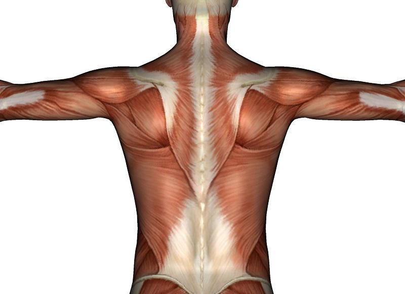 традиционная китайская медицина