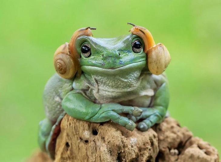 Царевна-лягушка: фантастические снимки индонезийского фотографа