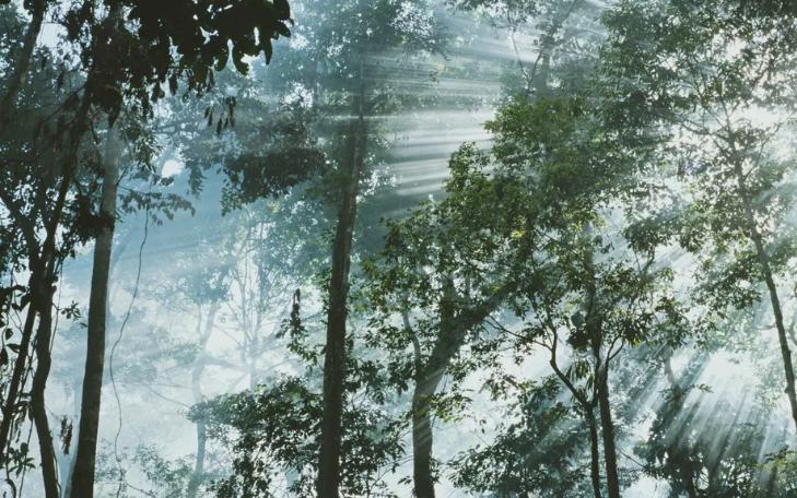 Значимые события 2018 года в области науки, медицинских инноваций и разнообразных фантастических возможностей