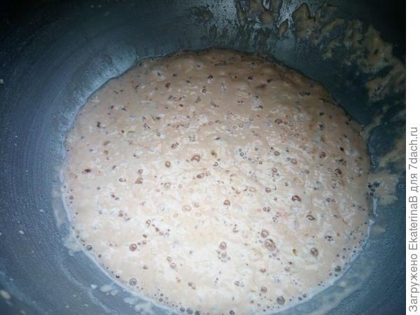 Опара для теста