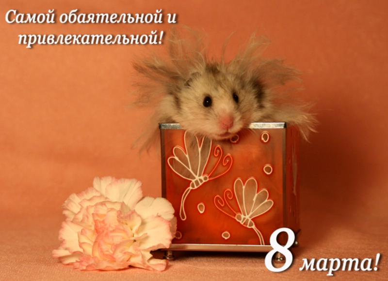Рабочий стол, с 8 марта открытки прикольные подруге
