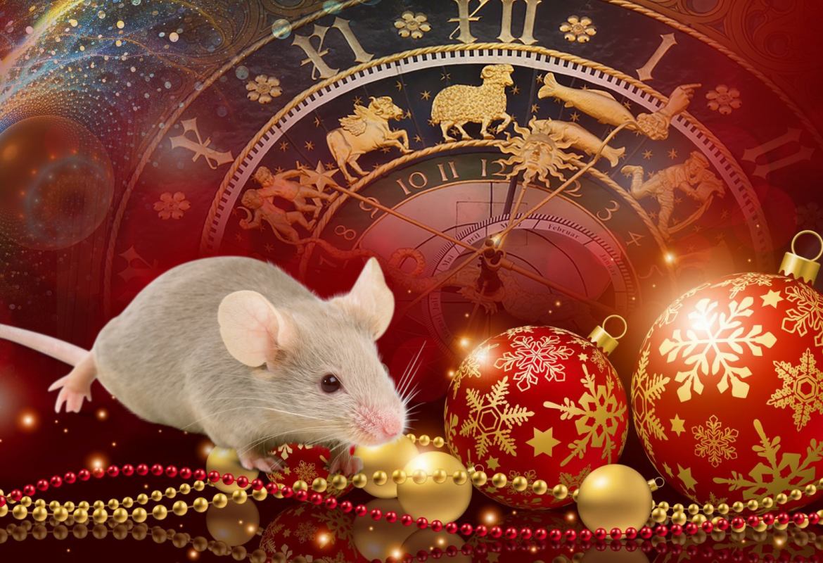 Как и в чем встречать Новый 2020 год белой Крысы - советы астролога