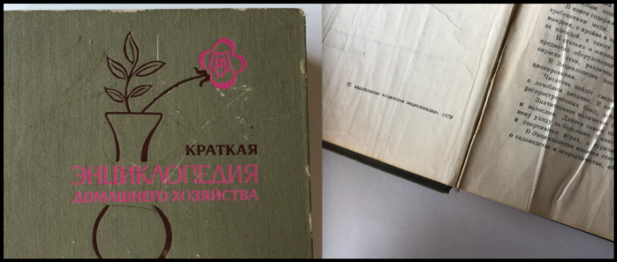 3925073_Screen_Shot_040420_at_05_57_AM_001 (700x297, 306Kb)