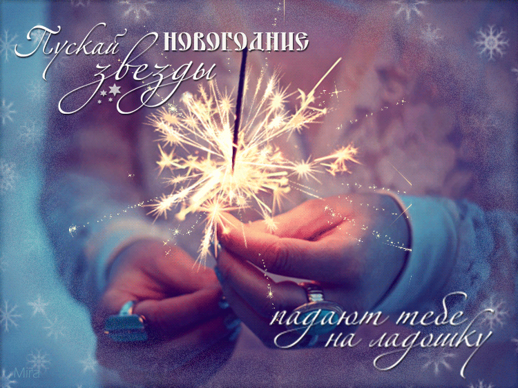 Новогоднее Чудо Истории Новогоднее Чудо Истории