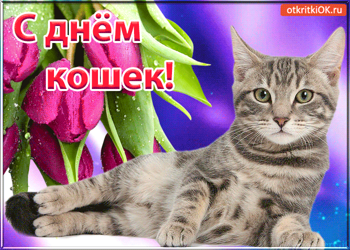 1 марта День кошек - стихи и открытки