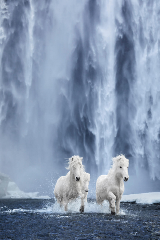 Лошади в фотографиях Дрю Доггетта