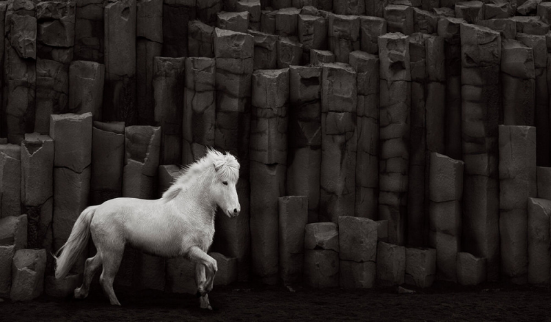 Лошади в фотографиях Дрю Доггетта