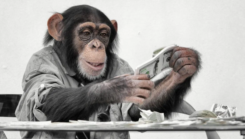 Деньги  и обезьяны - интересный эксперимент