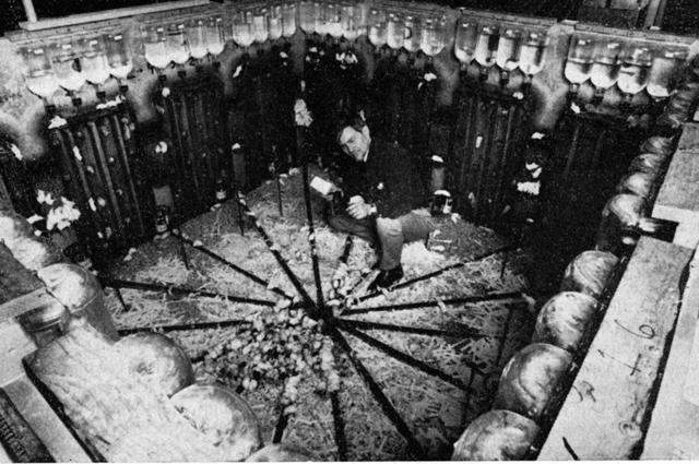 Джон Кэлхун проводит эксперимент с крысами.