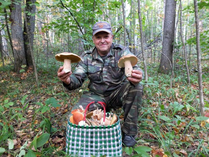 Садовник собрал урожай с 16 деревьев что составляет 2 3 всех деревьев его сада