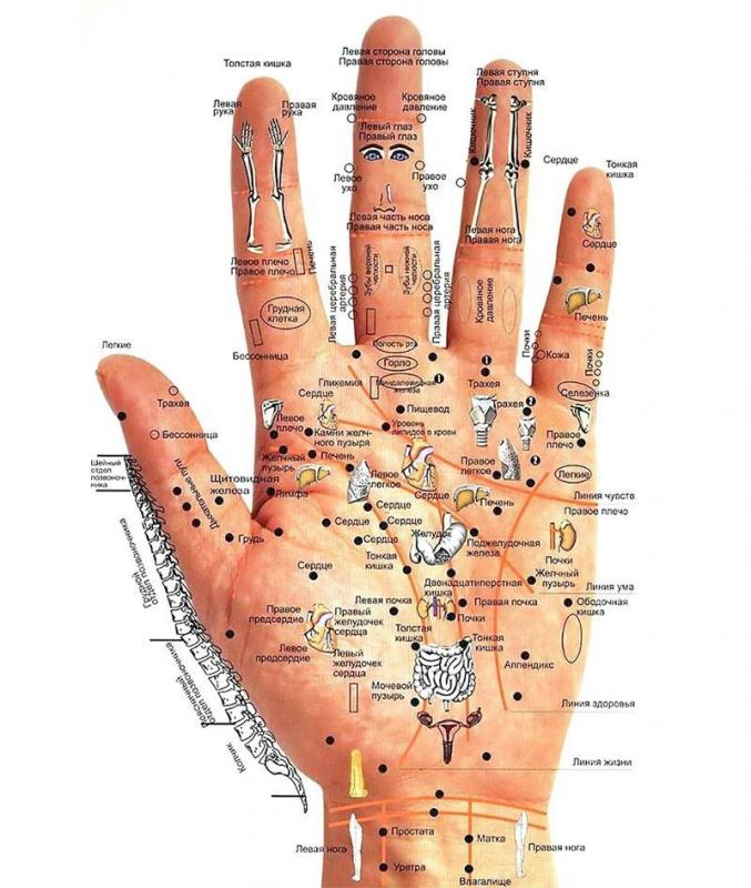 Состояние рук и диагностика заболеваний