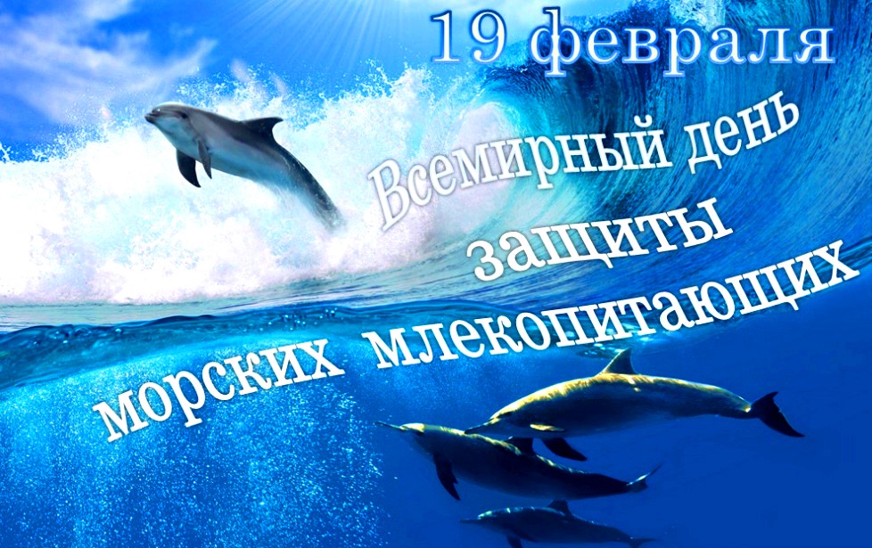 19 февраля день