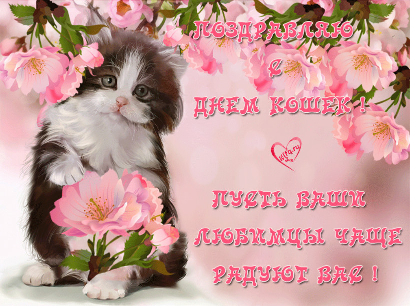 1 марта - День кошек в России