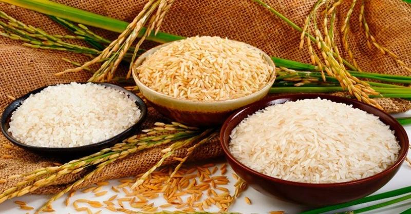 Польза и вред риса для здоровья человека