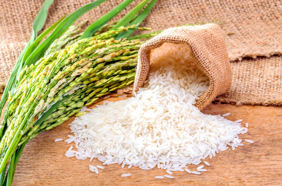 Польза и вред риса для здоровья человека