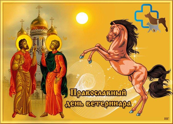 Православный день ветеринара - история праздника и поздравления в стихах